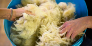 Photo Tageblatt Août 2021